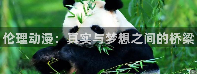 58动漫免费下载：伦理动漫：真实与梦想之间的桥梁