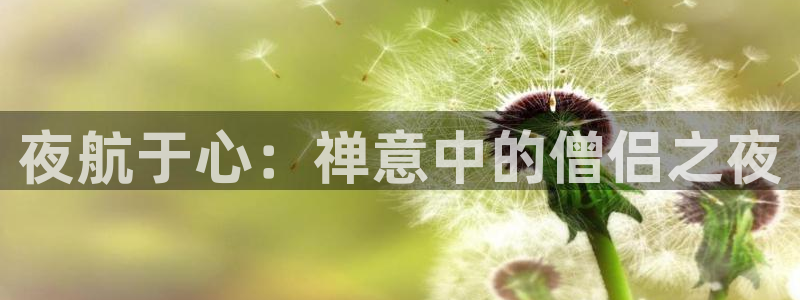 58动漫网页：夜航于心：禅意中的僧侣之夜