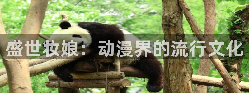58动漫网页：盛世妆娘：动漫界的流行文化